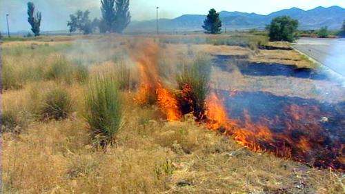 Fire authorities on the lookout for illegal fireworks this weekend