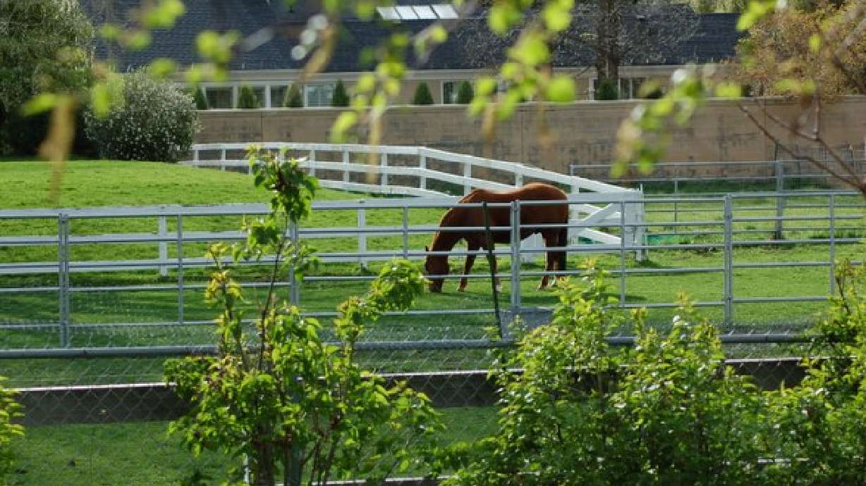 Daylight and Warmer Weather