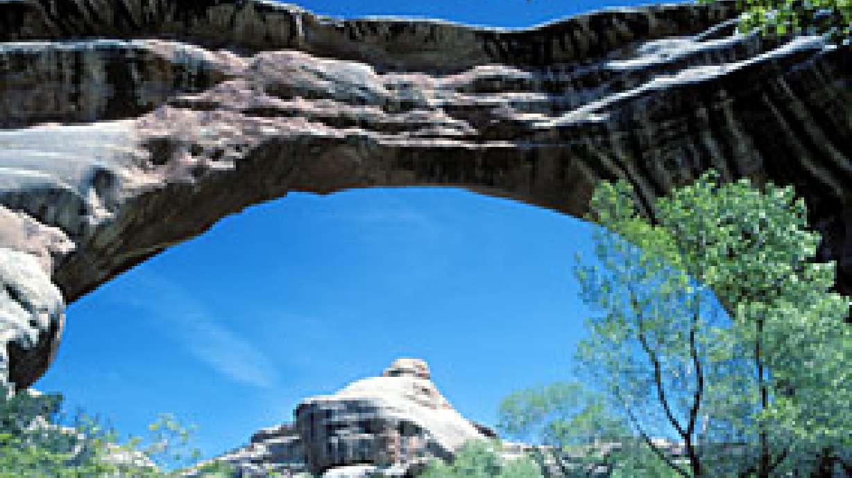 Campground Closes Because of Plague