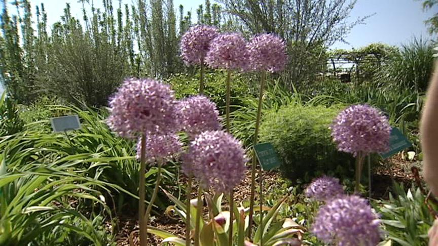 Garden Fair Can Help Determine Best Plants for Your Garden