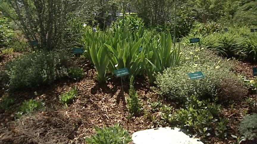 Garden Fair Can Help Determine Best Plants for Your Garden