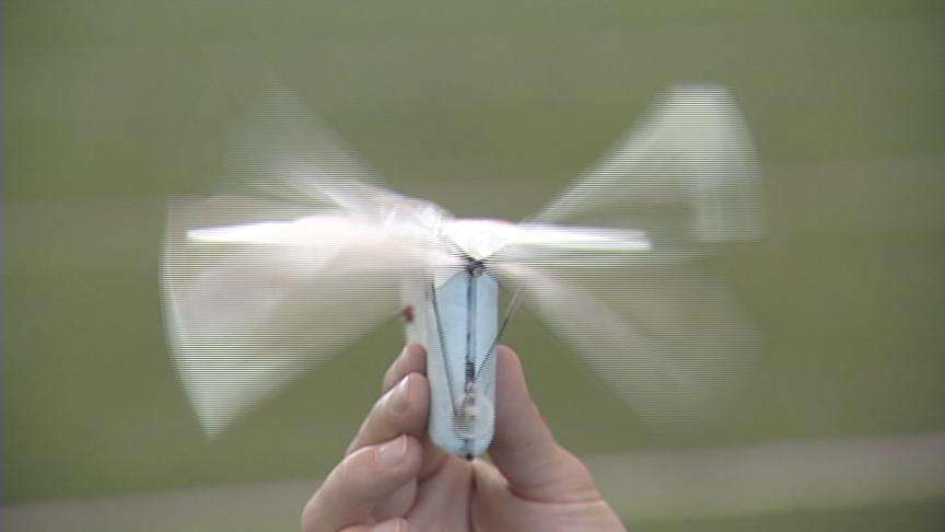 Engineers Build Tiny Flying Ornithopter