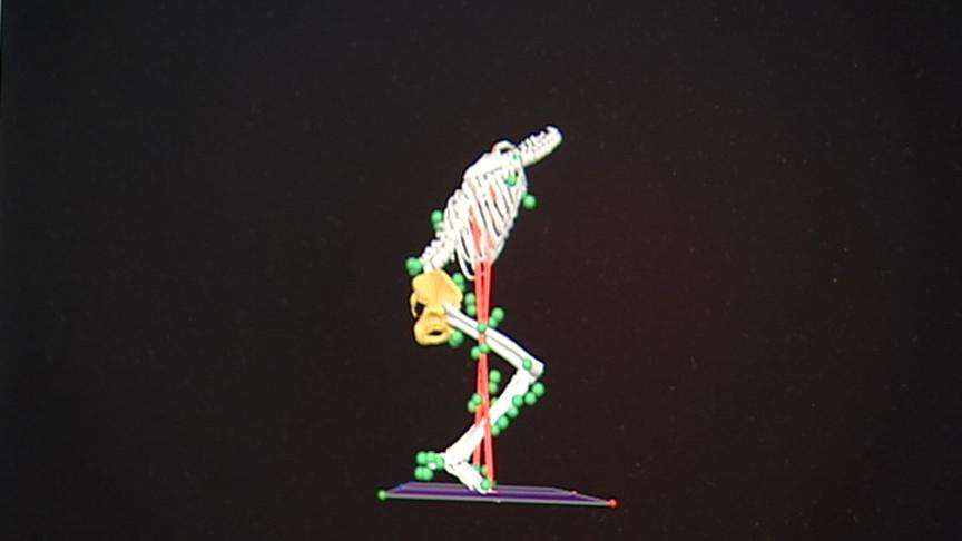 TOSH looking for female athletes volunteers