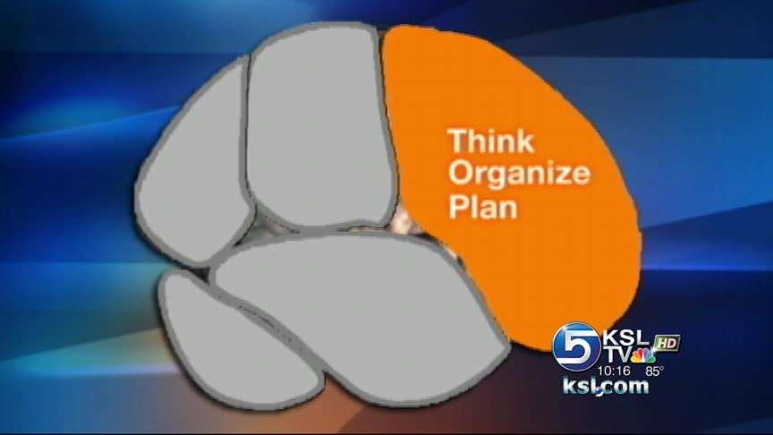 Genes and brain structure could affect decision making