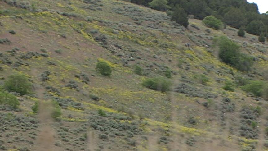 New technology could warn of impending earthquake