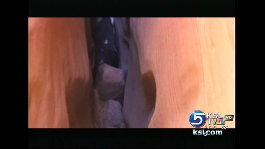 Group saves injured golden eagle