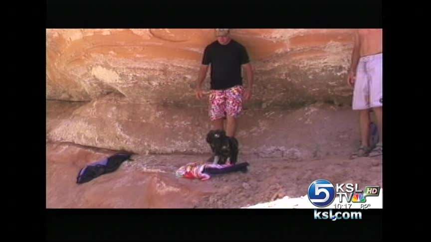 Group saves injured golden eagle