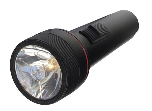 Woman uses flashlight to scare away bear