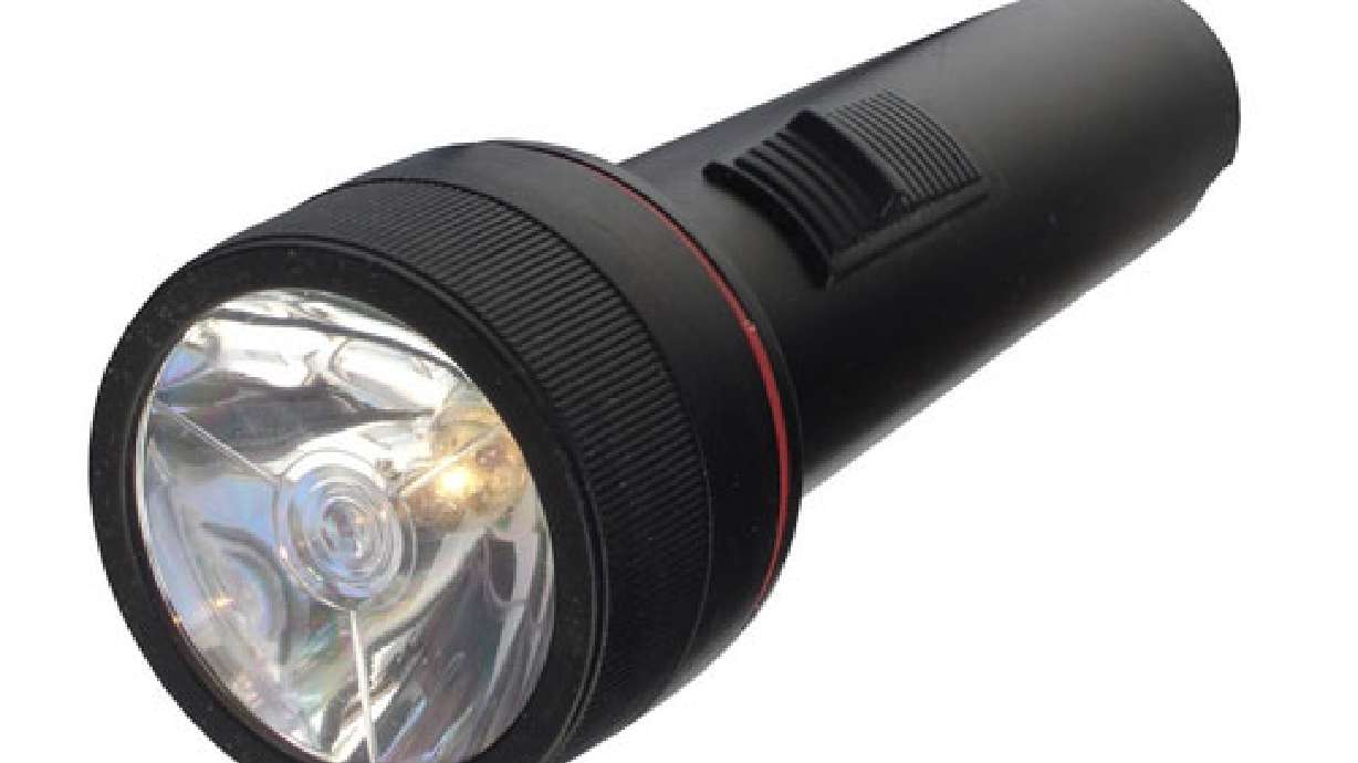 Woman uses flashlight to scare away bear