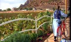 Warren Jeffs is 2006 Top Story #3