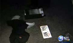 Police Arrest Suspect in Purse-Snatching