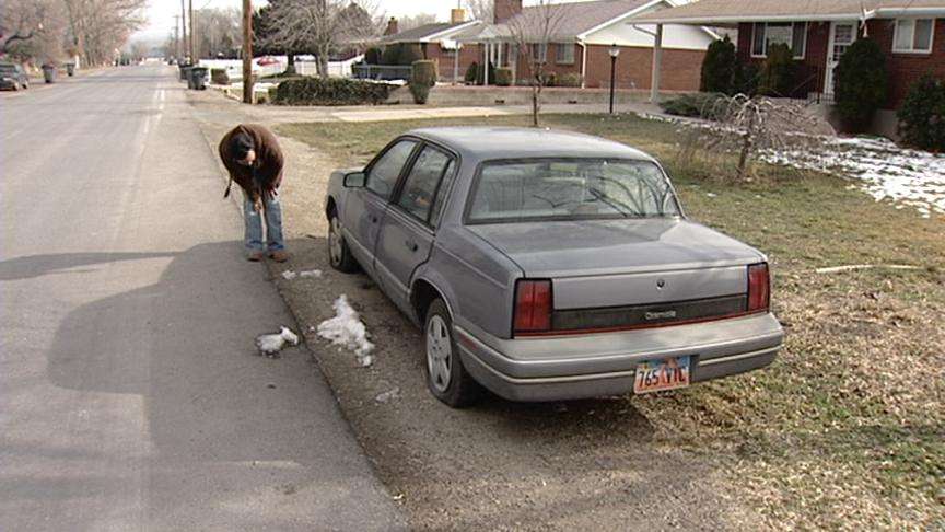 South Jordan Tire Slashing Vandalism Considered a Felony