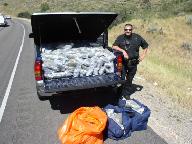 Summit County makes million-dollar marijuana bust