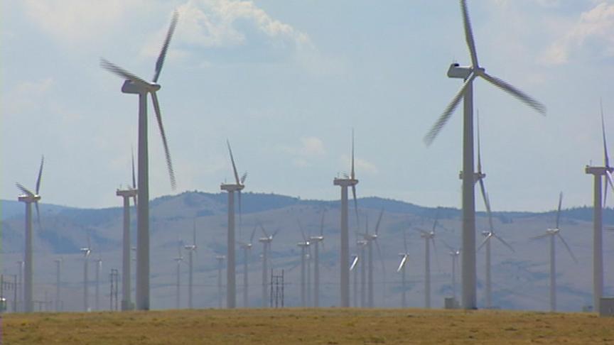 Sandy business makes large renewable energy purchase