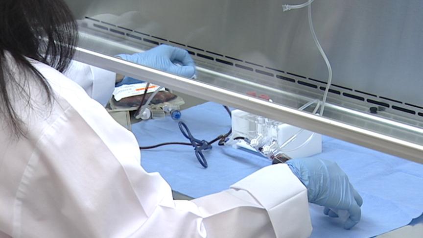 Umbilical Cord Blood May Help Save Lives