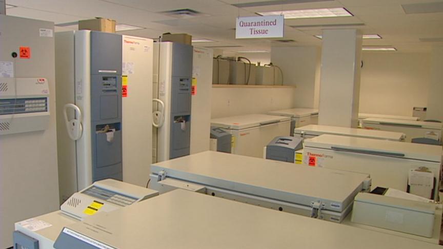 Umbilical Cord Blood May Help Save Lives