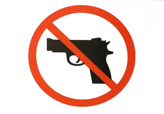 Public Universities Seek a Partial Ban on Concealed Weapons