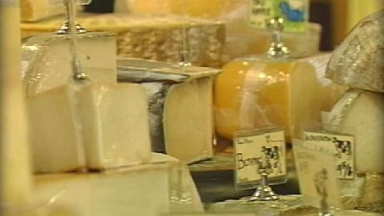 British Government Bans TV Ads on Cheese, Other Junk Foods