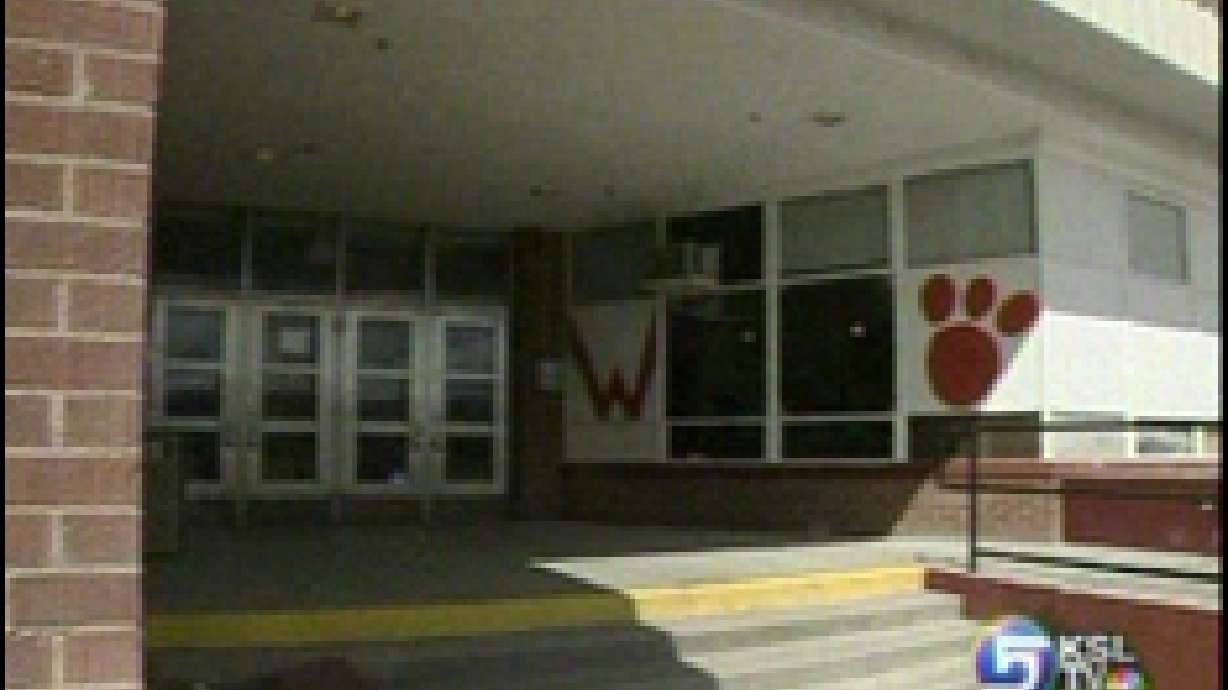 Bats stop at West High on way to Mexico