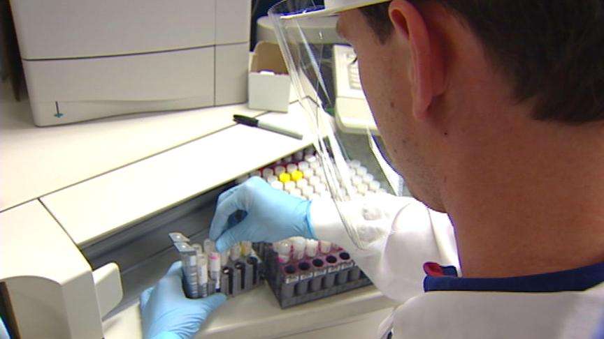 White cell destroys invaders before they do any harm