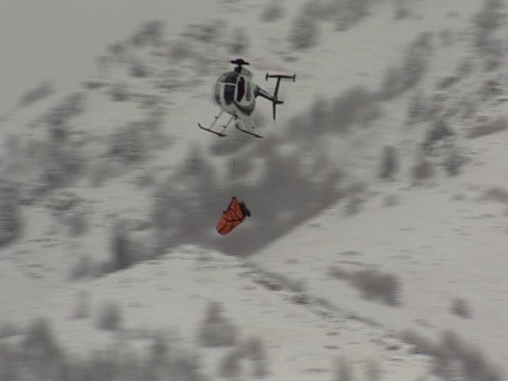 Utah Moose Transported by Helicopter to Colorado