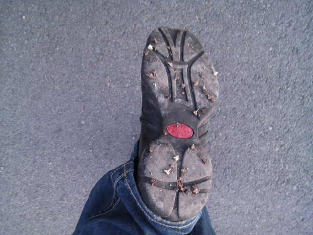 Thorny weed making some trails impassable