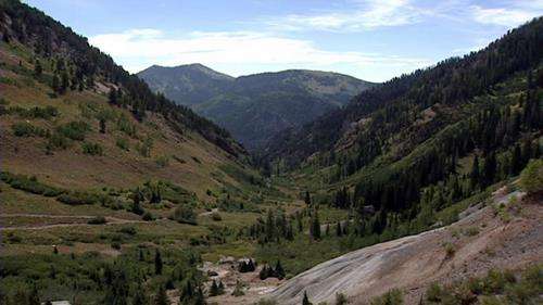 Snowbird cleaning up backcountry streams
