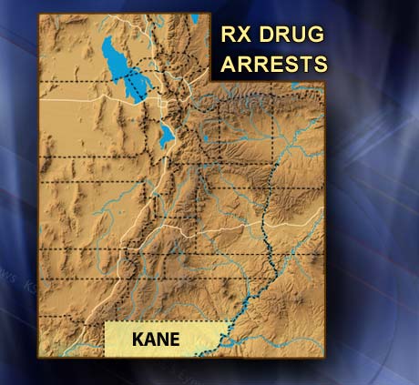Several Arrests Made for Stealing Prescription Drugs in Kane County