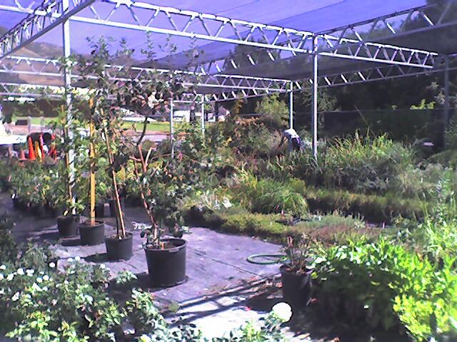 Cooler temperatures good for yards and gardens
