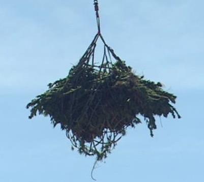 DEA expects to see more drug-growing operations in Utah