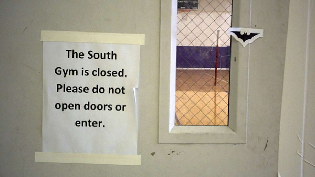 Students warned of bats at school