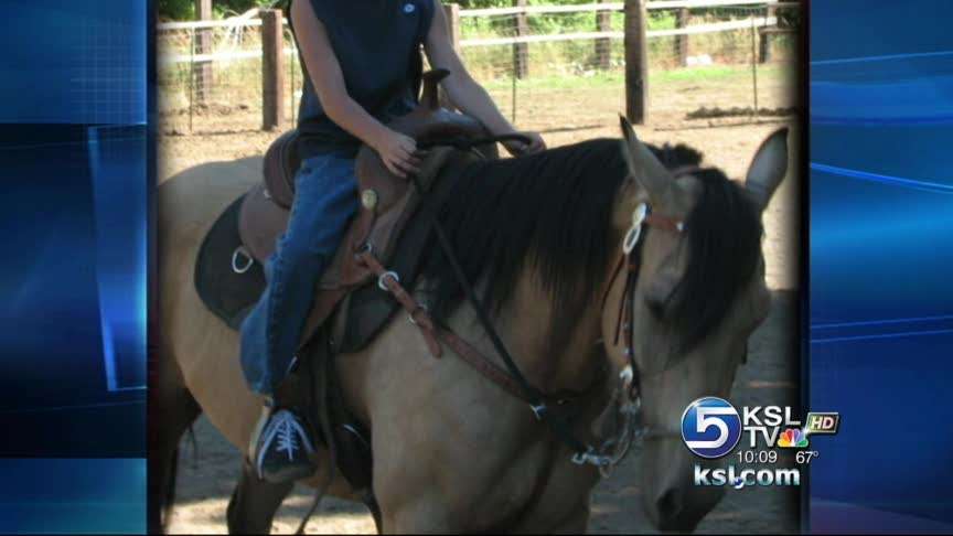 Couple looking for stolen ponies