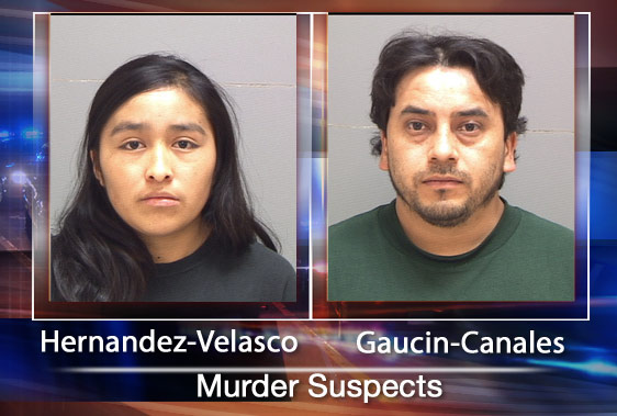 Plea deal may be in the works in murder case