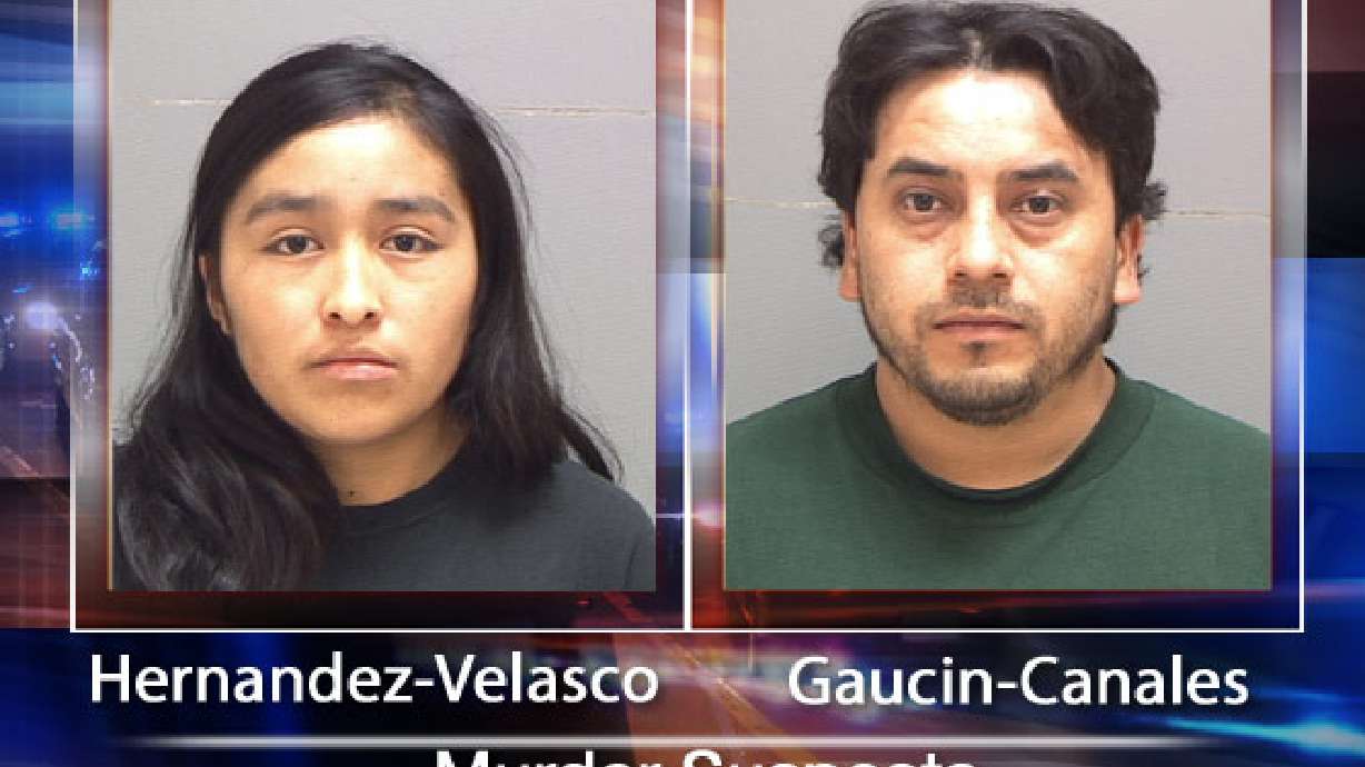 Plea deal may be in the works in murder case