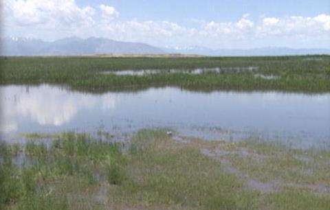 Legacy Parkway to open Saturday