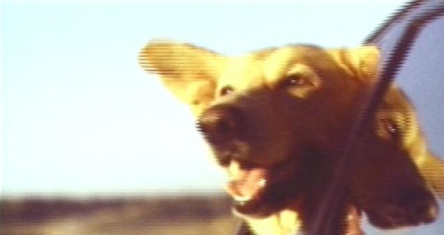 Award Winning Commercials Viewed on the Big Screen