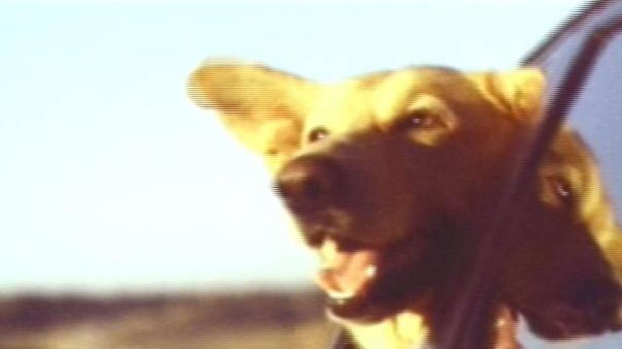 Award Winning Commercials Viewed on the Big Screen