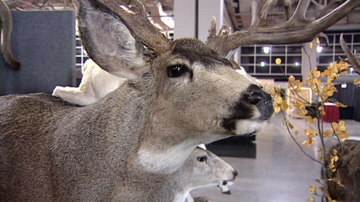 Western Hunting & Conservation Expo Converging on Utah