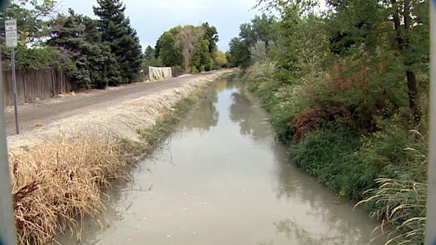 Girl nearly drowns in canal