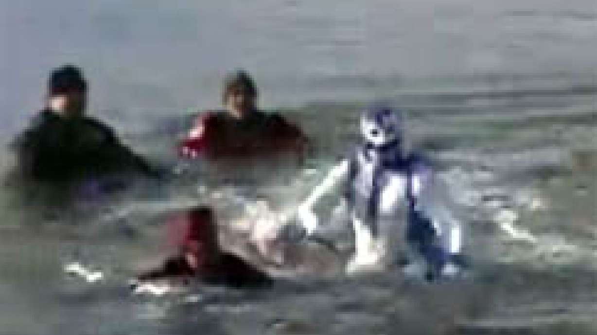 Swimmers Take a 'Polar Plunge'