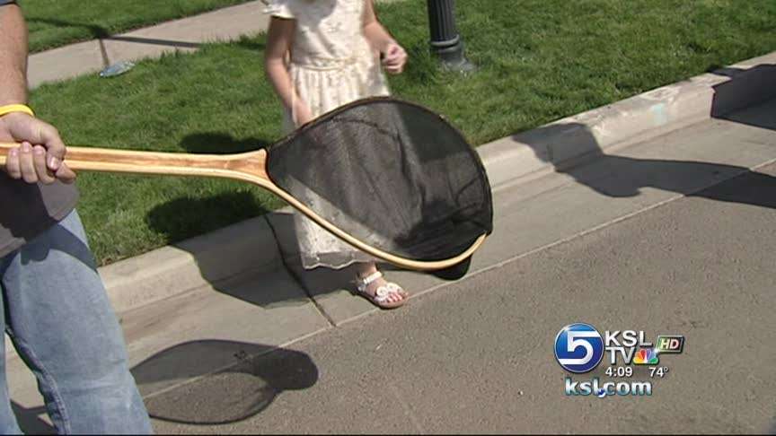 Vandals break into mink farm and release animals