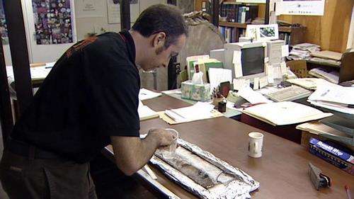 Researchers trace earth's history through fire