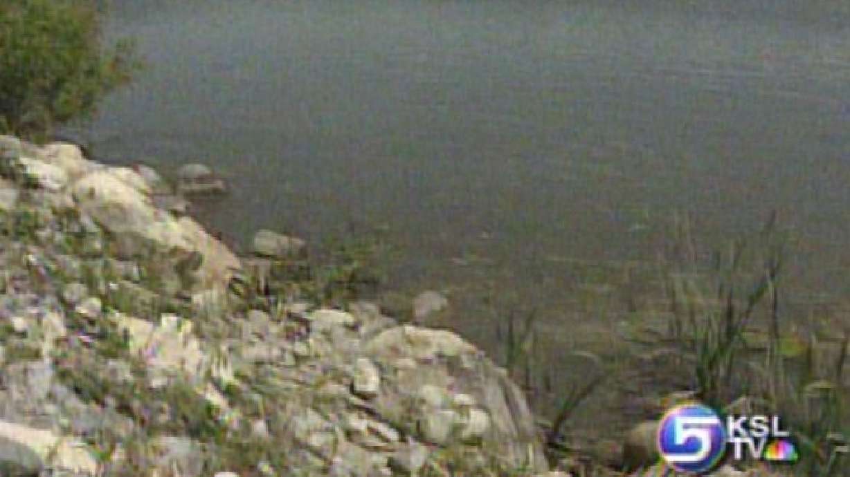 Officers Dive Into Marina to Save Teen