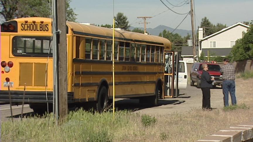 School Bus Driver Hits Power Pole