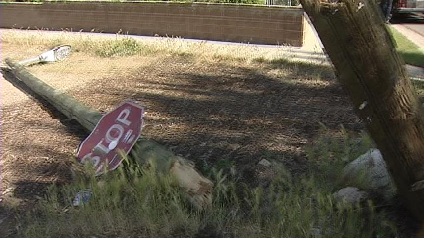 School Bus Driver Hits Power Pole