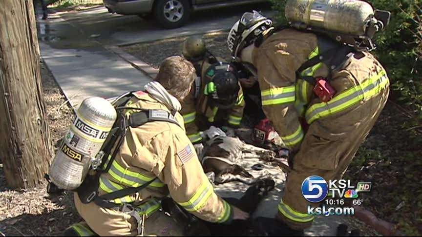 Firefighters putting more priority on saving pets