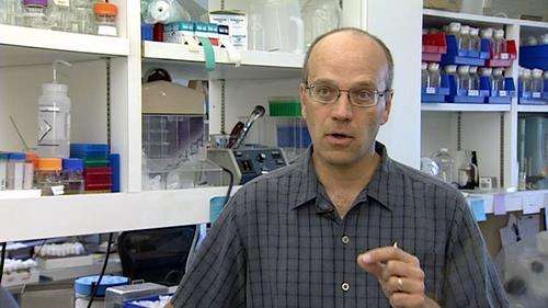 Biologists discover trigger that could cause cancerous cells