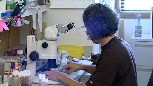 Biologists discover trigger that could cause cancerous cells