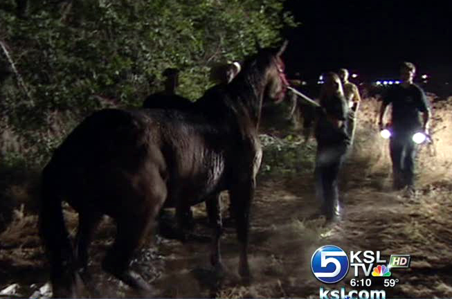 Crews rescue horse stuck in Jordan River