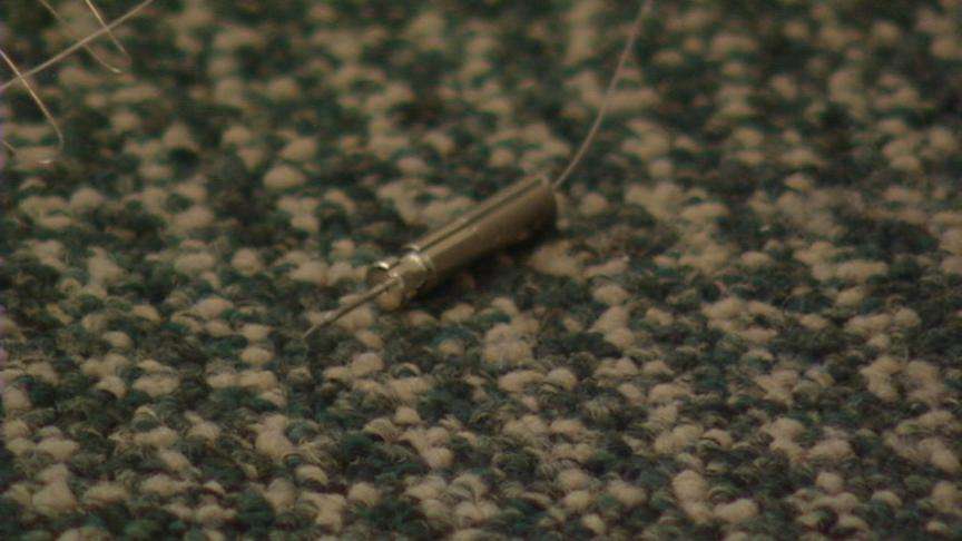 Bailiff uses Taser on teenager